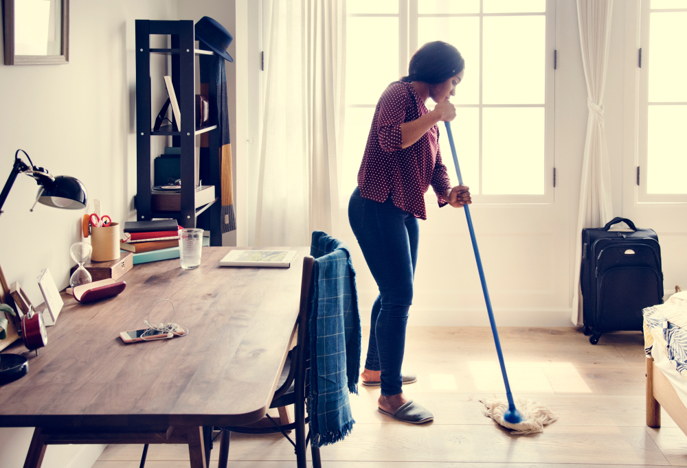 Domestic Cleaning Cost